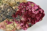 Fibrous, Magenta Erythrite Crystal Cluster - Morocco #184236-1